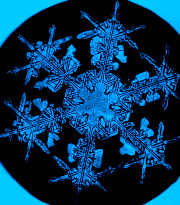 Snowflake Picture